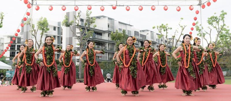 178299663066d5339e8331f8.50337708