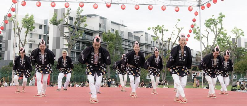 47409006266d5339f8d5f74.49509125