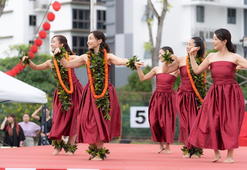 166015010266d533b539bfc4.71676146