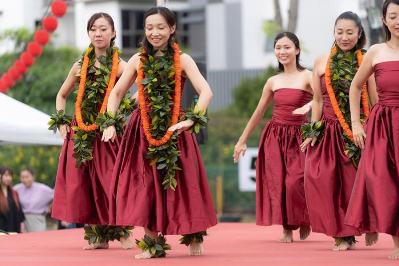 14262970366d533b5e32d46.93758250