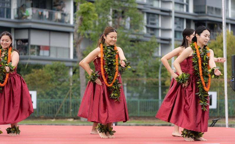 198154411066d533b7421f53.22468176