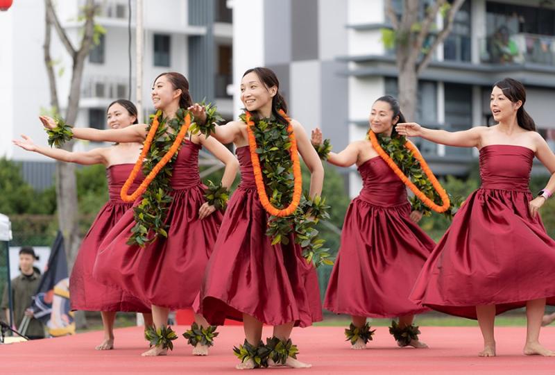 173064314666d533b83c1e63.94673422