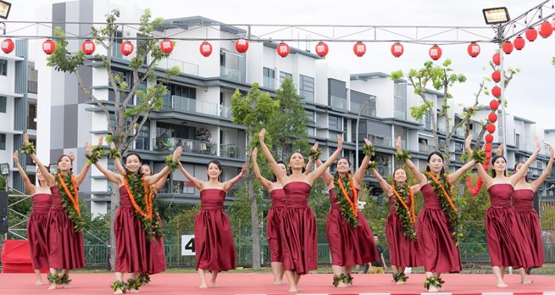 189315400566d533b8e948b9.88385837