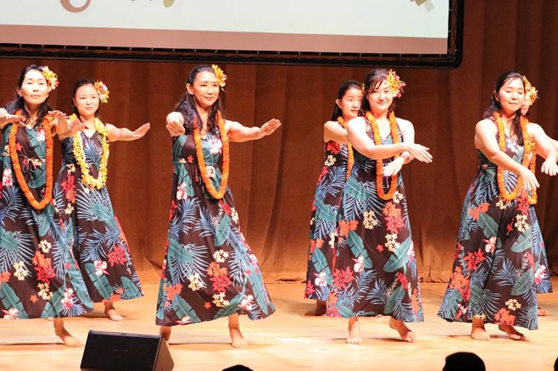 18428339546764e370e8e081.83824615