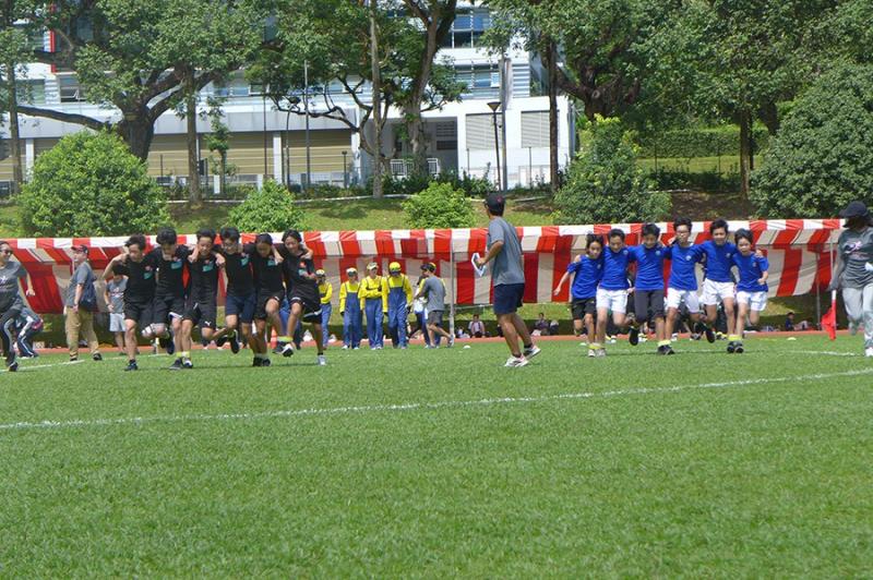 528749734689da3e331aff7.01514463