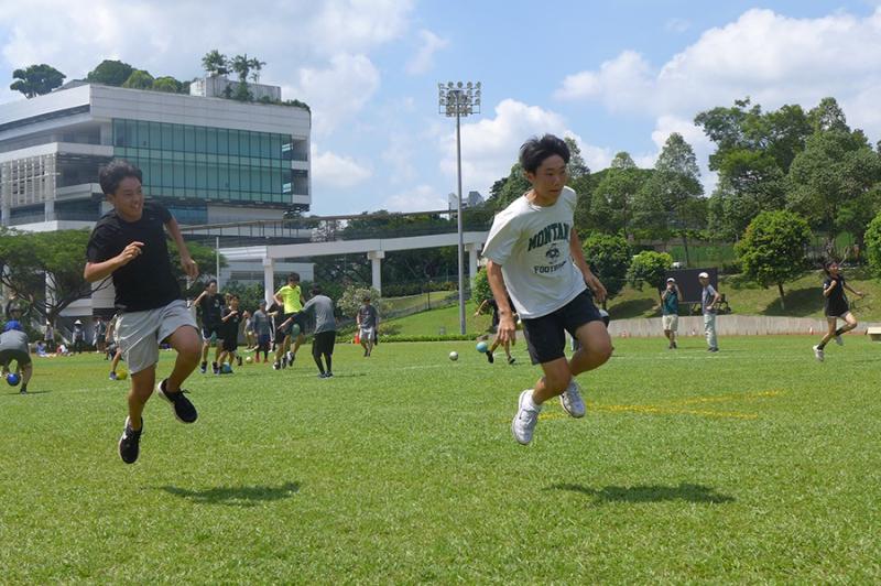 977923886689da3e4041451.62393544