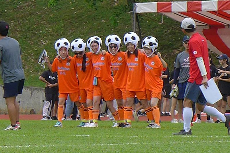 497915487689da3e8612334.23699705