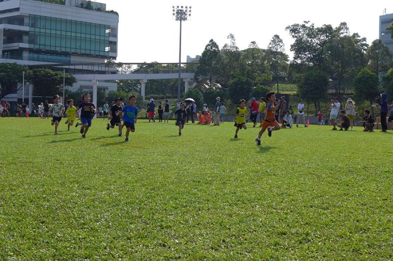 1221164879689da53e8d8bc4.62819782