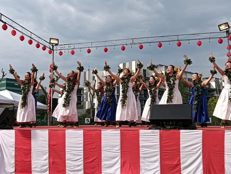 73232829068ccd192d6c050.88626006