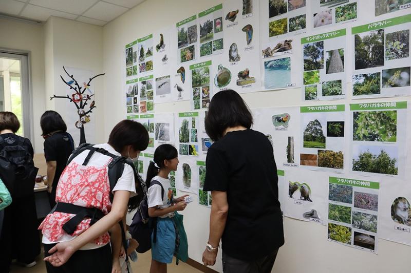 142661556669217989403e12.00898887