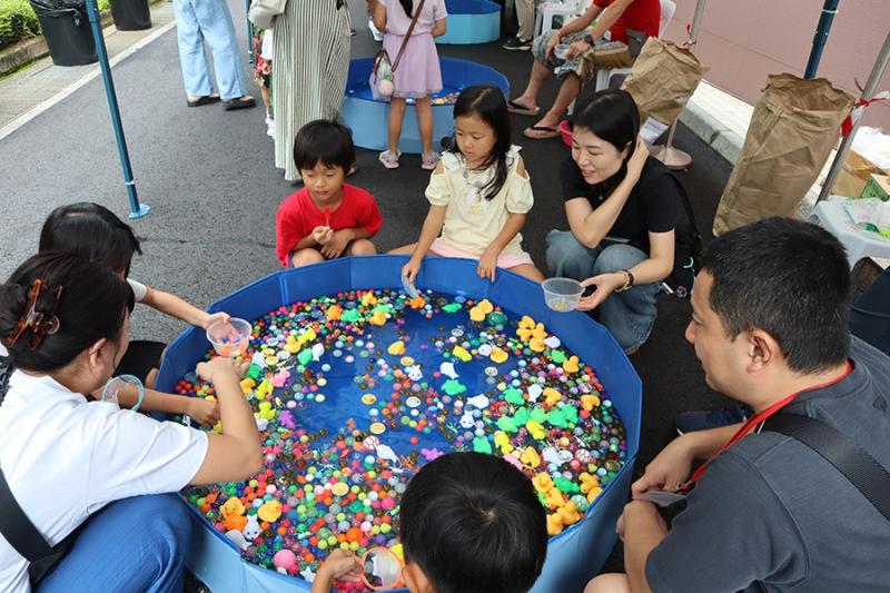 146828072769217994a9e9a7.31990661