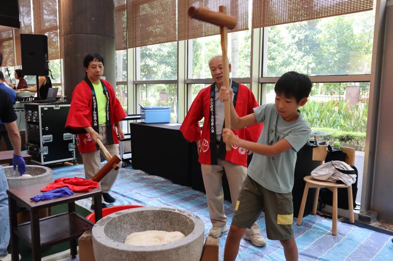 5564382906948dc46284d06.00665465