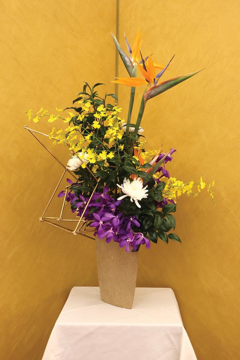 248405490695f2af38ae457.34974098