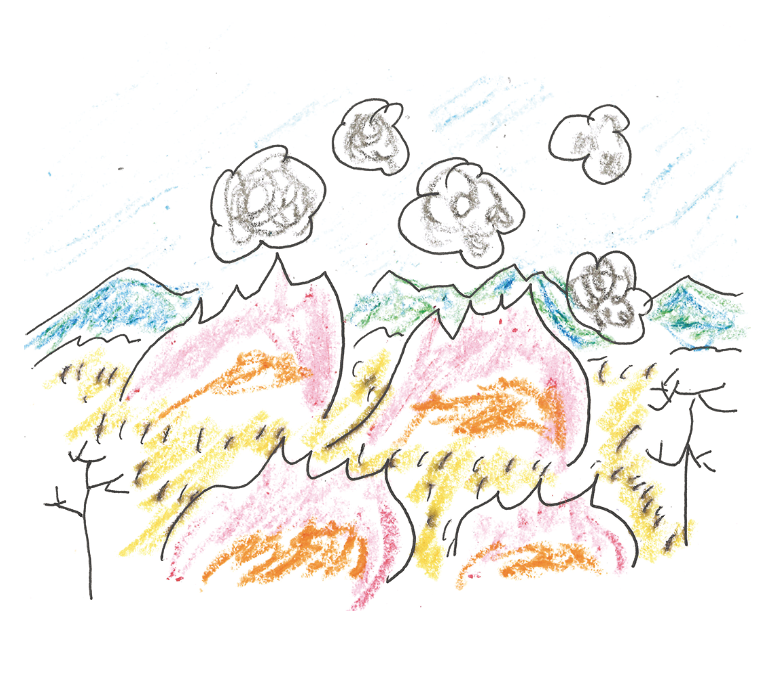 doctor_july_2025_3.png (555 KB)