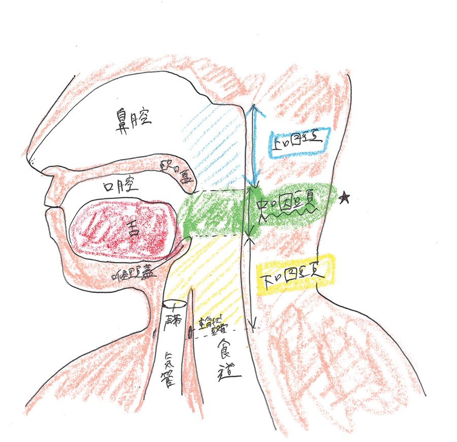 doctor-dec2024-2.png (628 KB)