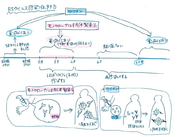 1D-Mar-2025.JPG (73 KB)