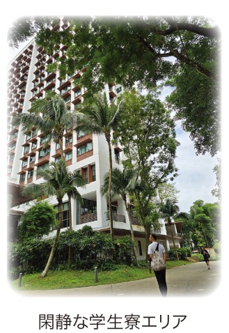 henshu-oct2025-1.JPG (67 KB)