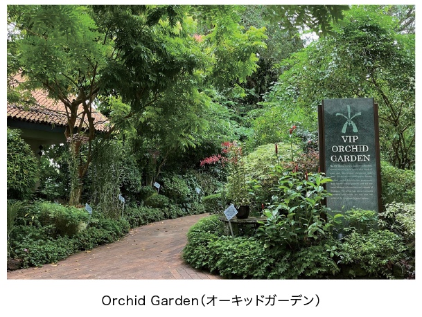 buratto-heritage-dec-2023-2.jpeg (193 KB)