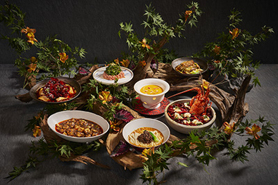 Shisenhanten-400.jpg (86 KB)